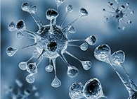 Ladbrokes立博体内体外药效试验顺遂通过药监局审查