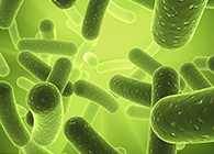 Ladbrokes立博将加入2013年欧洲生物春季展会