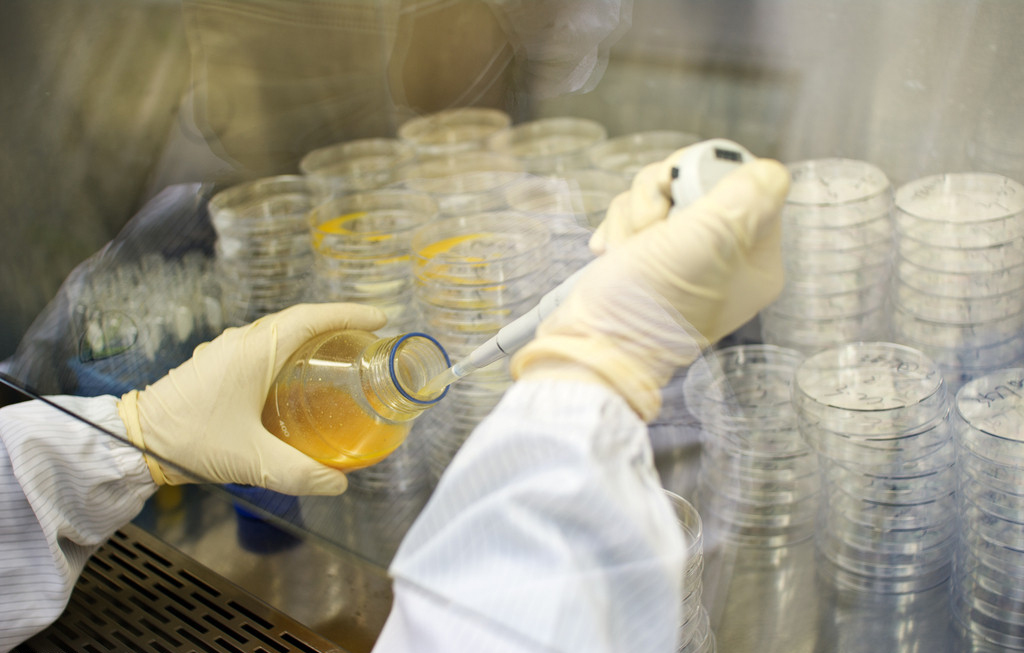 ladbrokes立博-英国公司官网