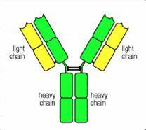ladbrokes立博-英国公司官网