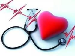 2015年11个重新药汇总剖析