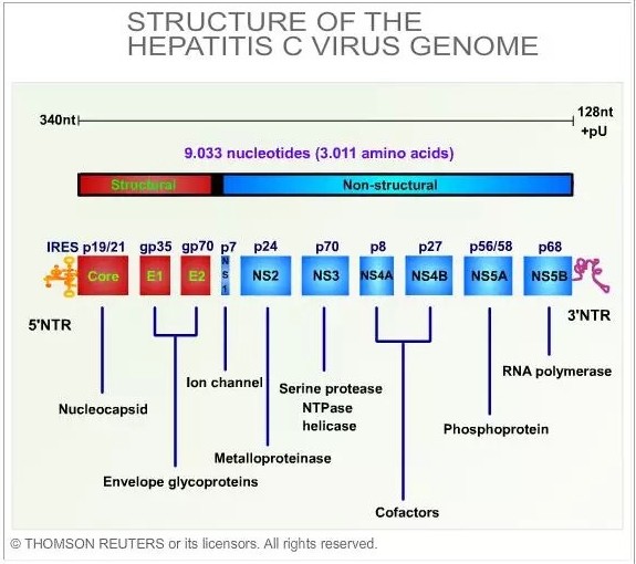 ladbrokes立博-英国公司官网