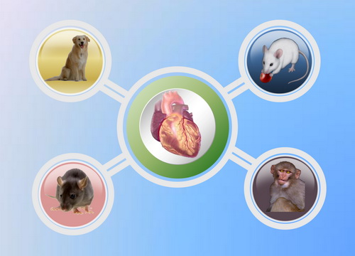 ladbrokes立博-英国公司官网