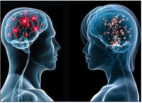 5月2号，，医药经济报上揭晓了关于陈春麟博士的报道——CRO的中国式崛起路径