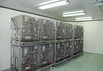 ladbrokes立博-英国公司官网