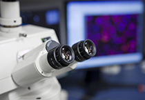 ladbrokes立博-英国公司官网