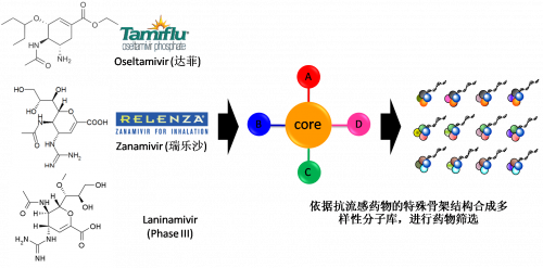 图2：以现有抗流感药物的结构为基础，，，举行多样性药物分子库的合成。