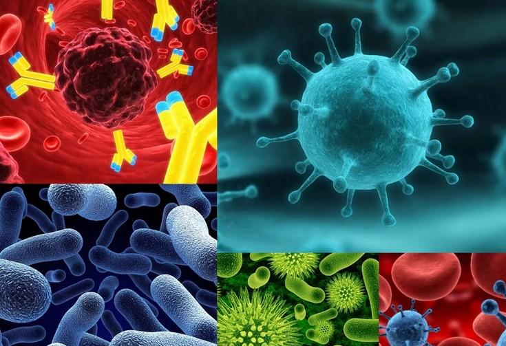 ladbrokes立博-英国公司官网