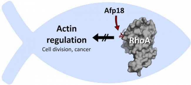 ladbrokes立博-英国公司官网