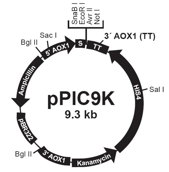 ladbrokes立博-英国公司官网