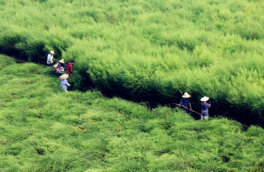 ladbrokes立博-英国公司官网