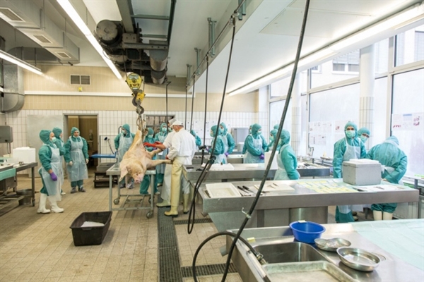 2015年第四序度令人期待的新药