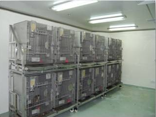 Ladbrokes立博猴房