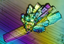 生物手艺服务公司