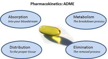 毒代动力学的吸收、、、漫衍、、、代谢、、、渗透