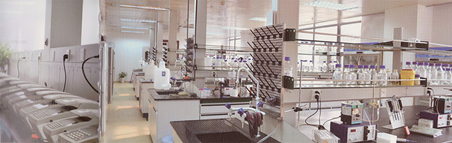 ladbrokes立博-英国公司官网