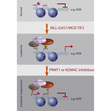 ladbrokes立博-英国公司官网