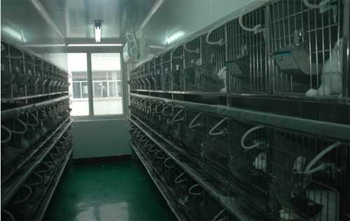 Ladbrokes立博实验动物房