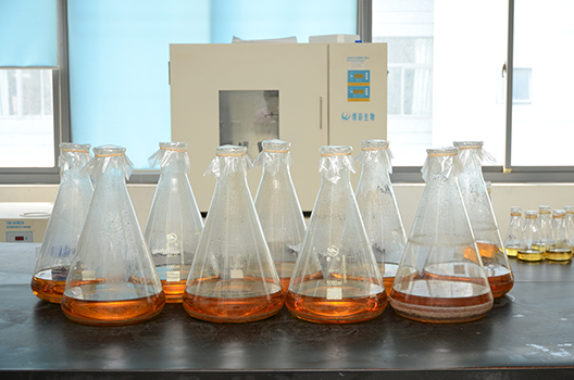 Ladbrokes立博制剂中心GMP中试车间完工