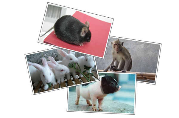 ladbrokes立博-英国公司官网