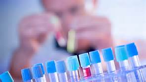 ladbrokes立博-英国公司官网