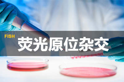 Ladbrokes立博荧光原位杂交手艺