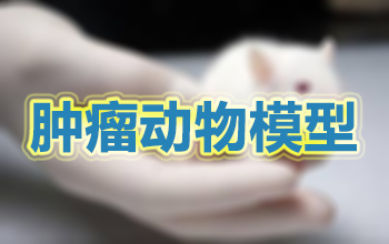 常见肿瘤动物模子一览