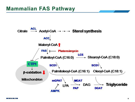ladbrokes立博-英国公司官网