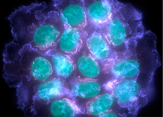 ladbrokes立博-英国公司官网