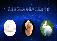 Ladbrokes立博的生殖毒性研究服务平台