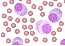 ladbrokes立博-英国公司官网