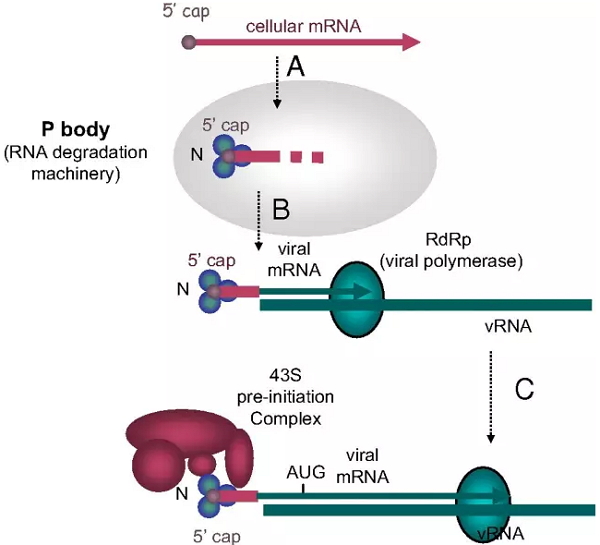 ladbrokes立博-英国公司官网