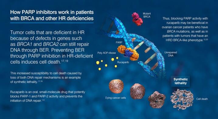 ladbrokes立博-英国公司官网