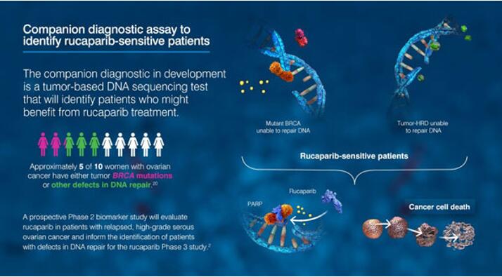 ladbrokes立博-英国公司官网