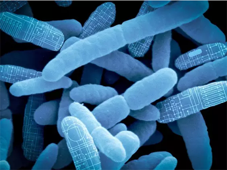 ladbrokes立博-英国公司官网