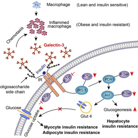 ladbrokes立博-英国公司官网