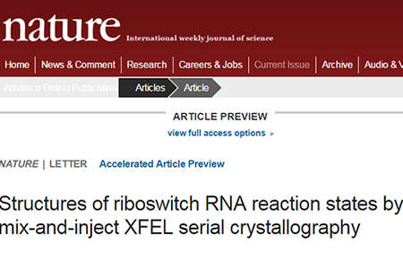ladbrokes立博-英国公司官网