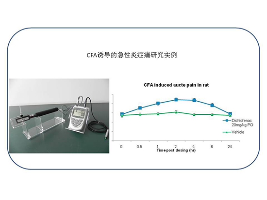 ladbrokes立博-英国公司官网