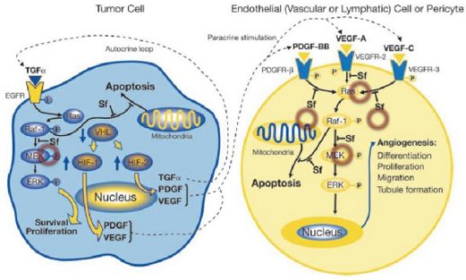 多靶点药物：：：立异药物设计的主要思绪