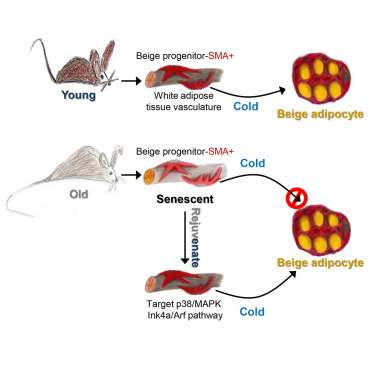 ladbrokes立博-英国公司官网