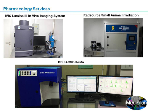 Ladbrokes立博副总裁汪俊博士SAPA-DC聚会演讲PPT