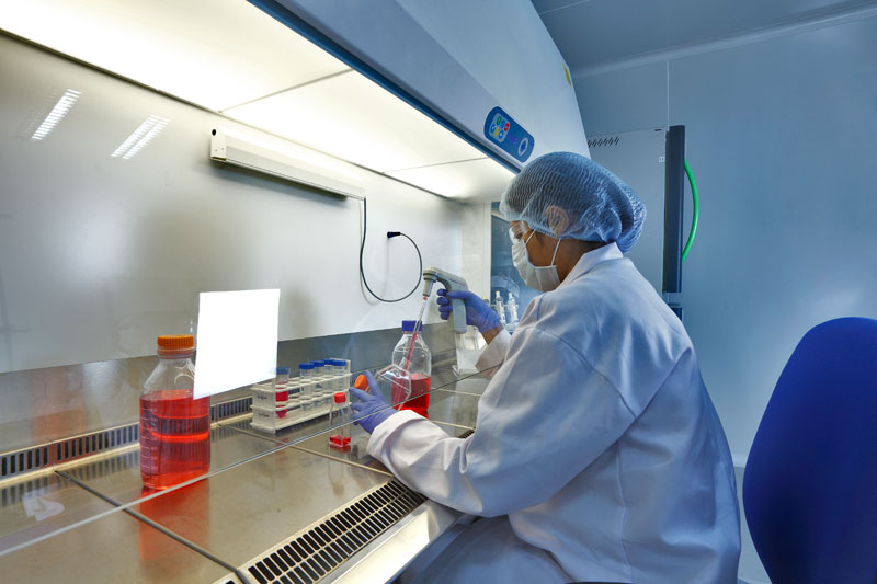 单品种用度或达万万？一致性评价尚有这四大“坎”