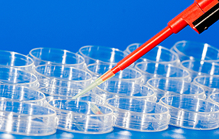 ladbrokes立博-英国公司官网