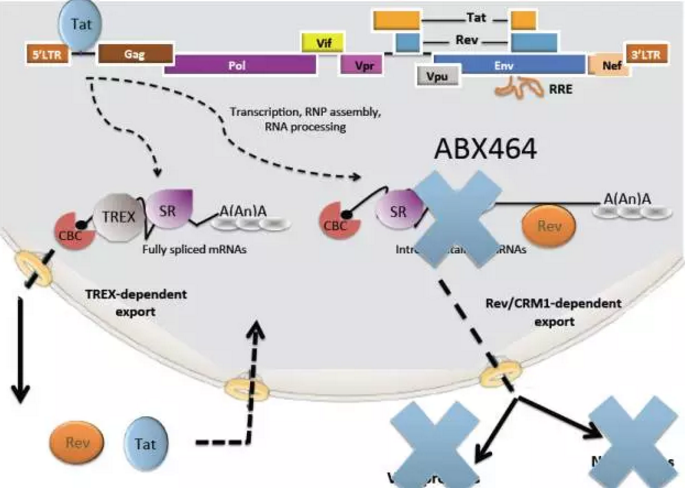 ladbrokes立博-英国公司官网