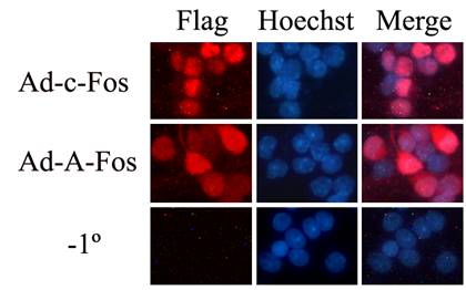 ladbrokes立博-英国公司官网