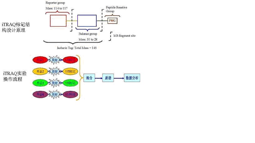 ladbrokes立博-英国公司官网