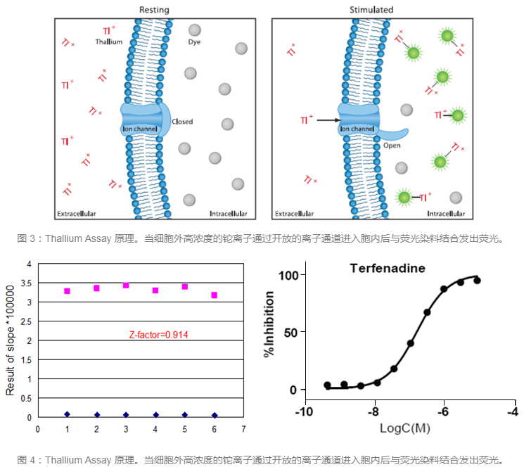 ladbrokes立博-英国公司官网