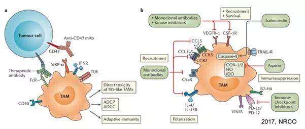 ladbrokes立博-英国公司官网