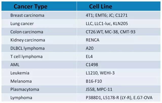 ladbrokes立博-英国公司官网