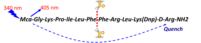 ladbrokes立博-英国公司官网